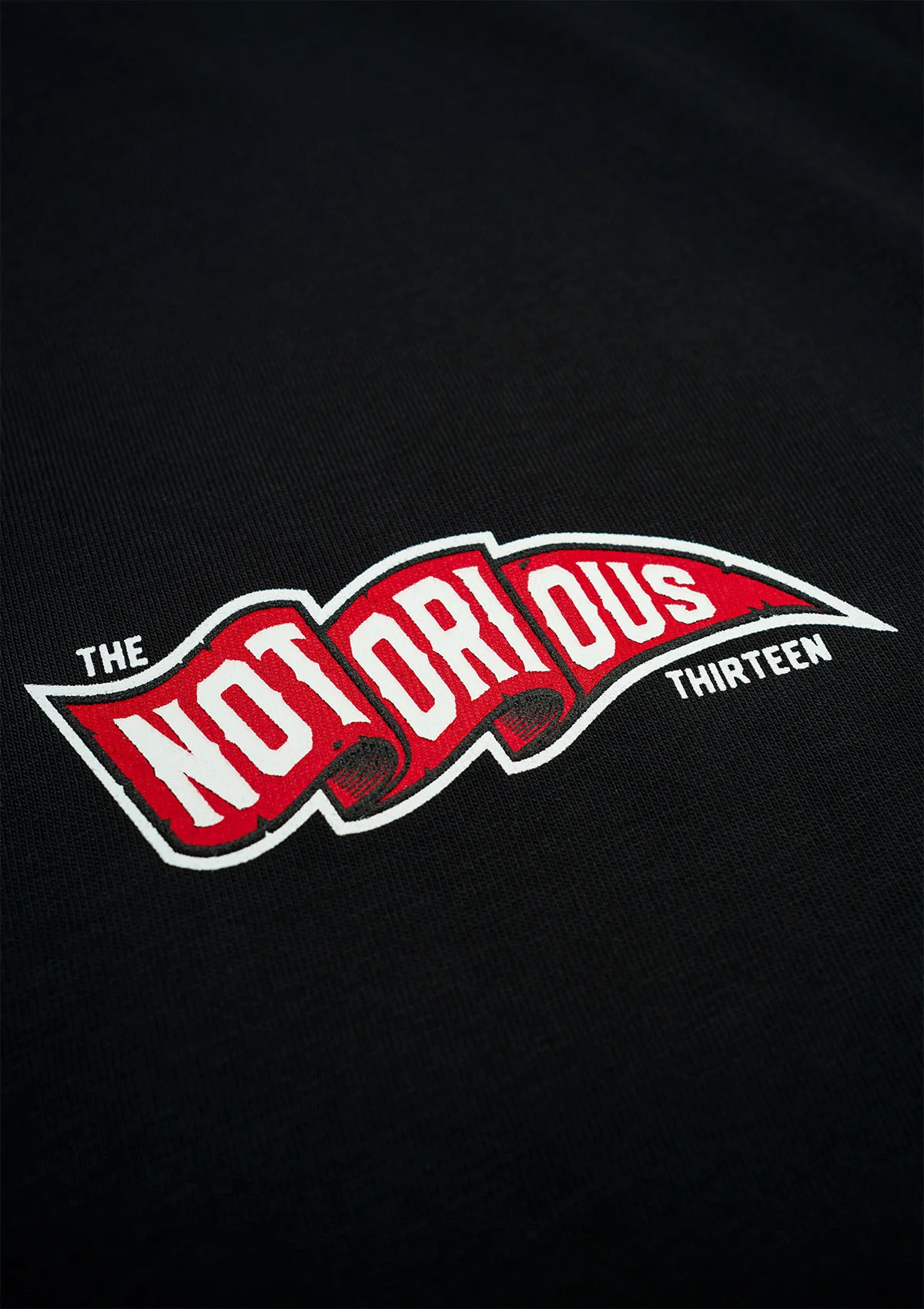 T-Shirt TNT FLAG B/R/W - Image 3